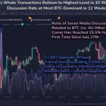 Surge In Bitcoin Activity: Whales Transactions Hit New Highs, Is A Bull Run Brewing?