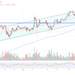 Bitwise Files Bitcoin Standard ETF Featuring Top BTC-Holding Companies