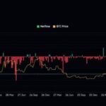 Bitcoin sees 2024’s largest weekly outflow from exchanges – What does it mean?