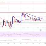 Cardano (ADA) Struggles to Hold Ground: Another Drop Incoming?